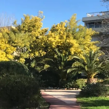 Centre St Tropez - Gd 2 Pieces, Piscine Et Parking 公寓 圣特罗佩